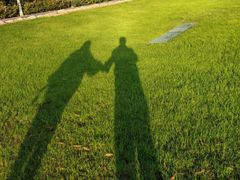 -合肥滨湖国家森林公园