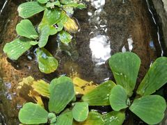 -新竹里馆·花园餐厅(兴苑路店)