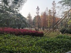 -晓港公园