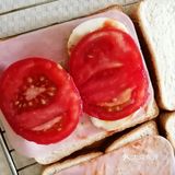 鸡蛋火腿番茄三明治—橙色的初夏早餐