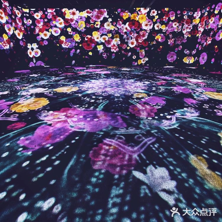 星驰潮涌