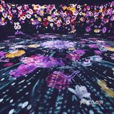星驰潮涌