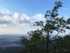 -紫金山山顶公园