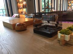 -宁海安岚·南溪阁全日餐厅