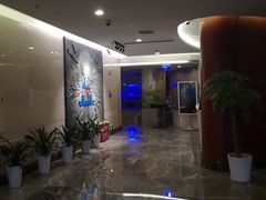 -长沙小天鹅戴斯酒店