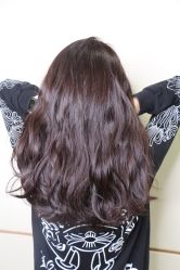 中发-CARR SALON
