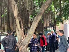 -柴务处·柴犬主题狗咖