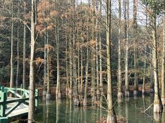 景点-九真山风景区