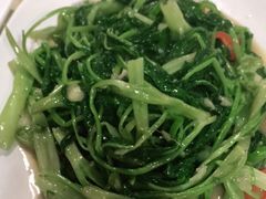 -佛有缘·32年老字号(广州首店)