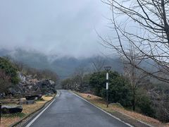 -千岛湖石林