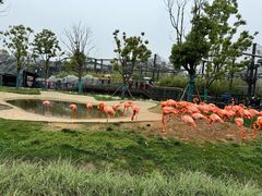 -武汉动物园
