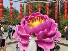 -太阳宫公园