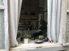 -小洲村