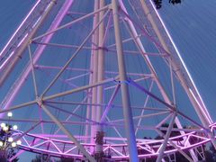 -哈尔滨文化公园