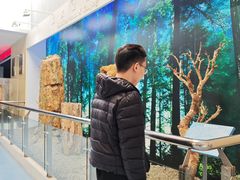 -延庆地质公园博物馆