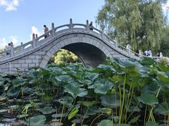 -长春市南湖公园