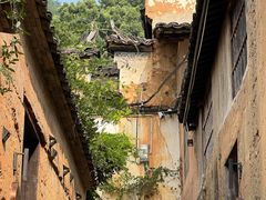 -杨家堂村