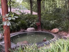 -青城道汤池