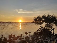 -宝安西湾红树林湿地公园