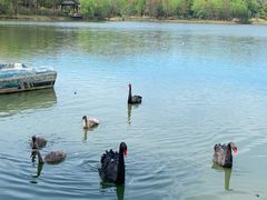 -江南大学(蠡湖校区)