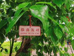 -温州永嘉书院
