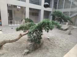 -CD视觉婚纱摄影