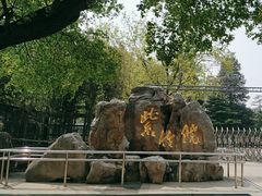 -紫竹院公园-东门停车场