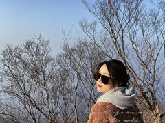 -紫金山山顶公园