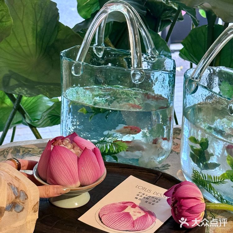 🔥天津五大道！夏日限定荷花下午茶美到窒息！
