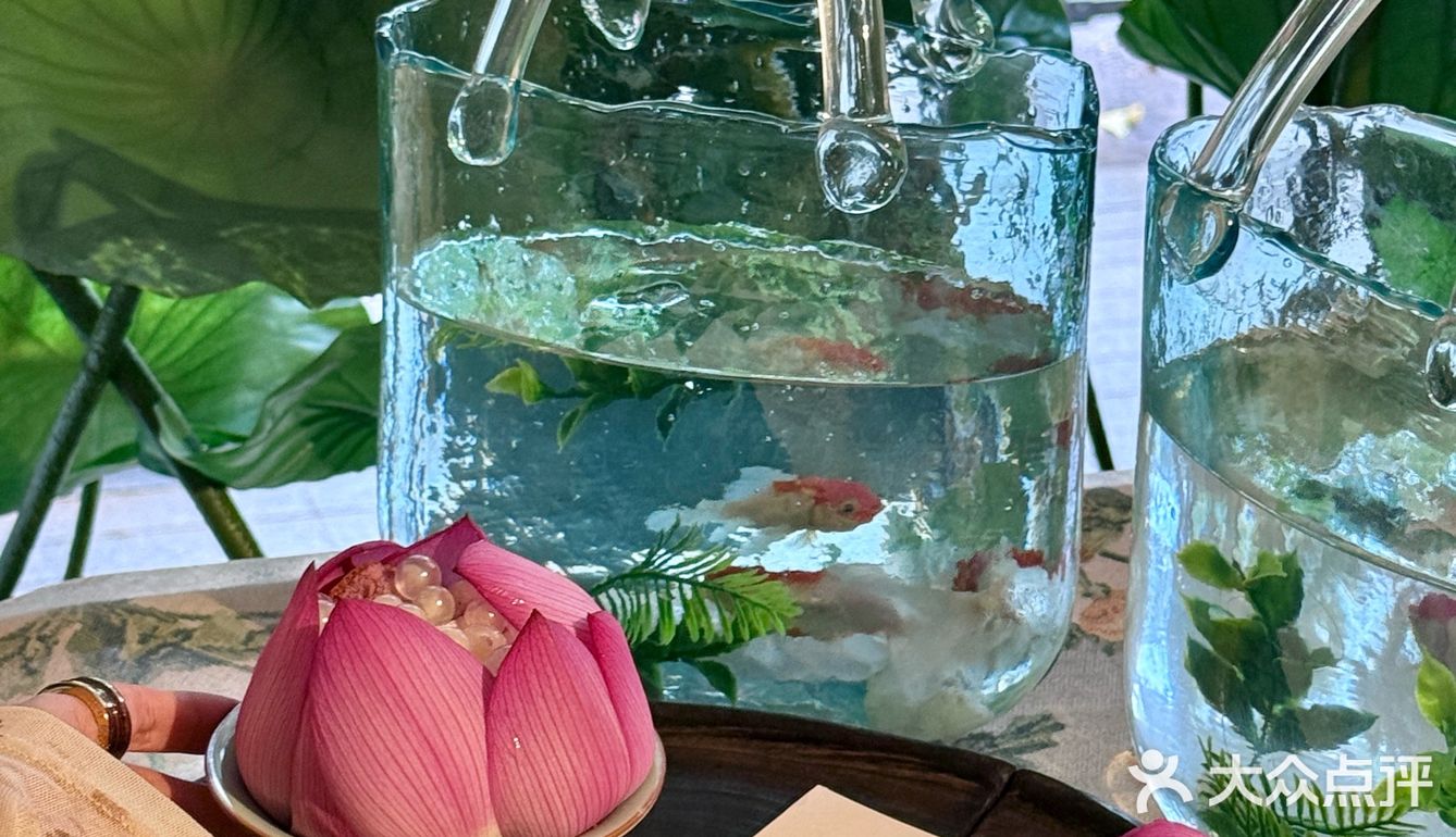 🔥天津五大道！夏日限定荷花下午茶美到窒息！
