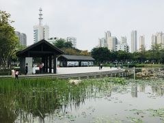 -映月湖公园