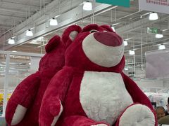 -洛阳郁金香牡丹园