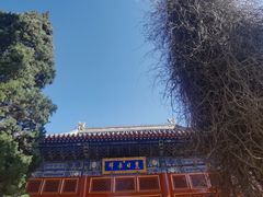 -北京艺术博物馆(万寿寺)