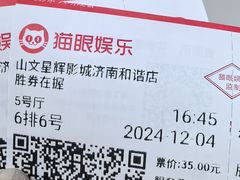 -山文星辉影城(济南和谐广场店)