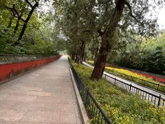 -国家植物园南园