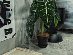 -尔本咖啡(星光荟店)