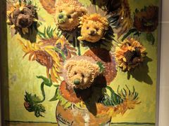 -成都泰迪熊博物馆