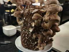 -捞王锅物料理(温州万象城店)