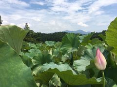 -清漾毛氏文化村