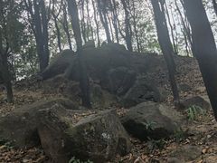 -火炉山森林公园