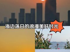 -深圳湾公园(南山区)