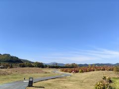 -径山花海
