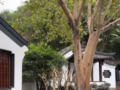 -深圳国际园林花卉博览园