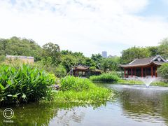 -顺峰山公园