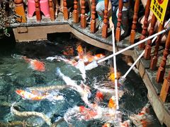 -成都浩海立方海洋公园