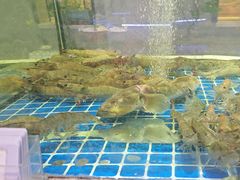 -大众海鲜(巨龙北路店)
