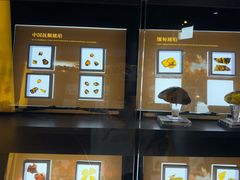 -中华赏石园