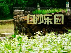 -东郊湿地公园