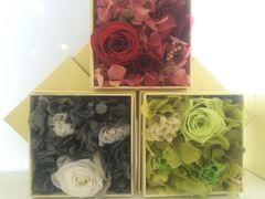 -广州花之恋城堡酒店