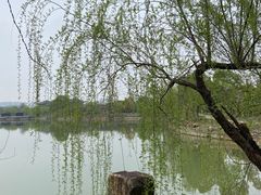 -杏花村文化旅游区